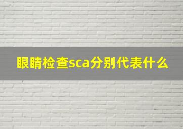 眼睛检查sca分别代表什么