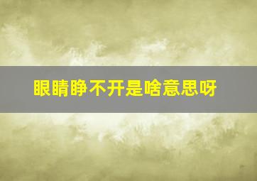 眼睛睁不开是啥意思呀