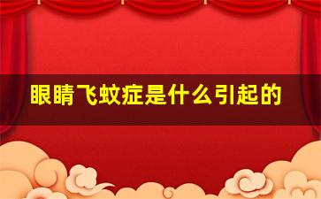 眼睛飞蚊症是什么引起的