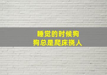 睡觉的时候狗狗总是爬床挠人