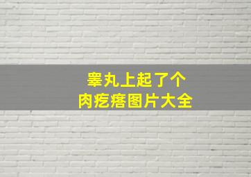 睾丸上起了个肉疙瘩图片大全