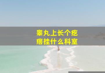 睾丸上长个疙瘩挂什么科室