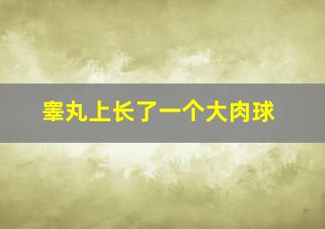 睾丸上长了一个大肉球