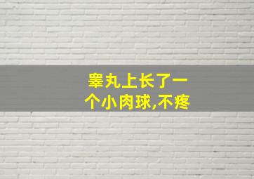 睾丸上长了一个小肉球,不疼