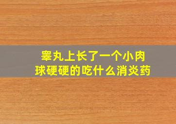 睾丸上长了一个小肉球硬硬的吃什么消炎药