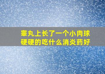 睾丸上长了一个小肉球硬硬的吃什么消炎药好