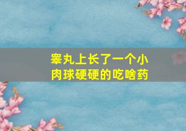 睾丸上长了一个小肉球硬硬的吃啥药