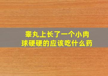 睾丸上长了一个小肉球硬硬的应该吃什么药