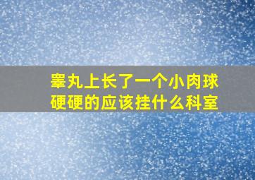 睾丸上长了一个小肉球硬硬的应该挂什么科室