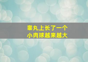 睾丸上长了一个小肉球越来越大