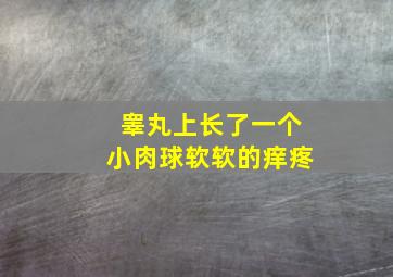 睾丸上长了一个小肉球软软的痒疼