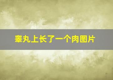 睾丸上长了一个肉图片