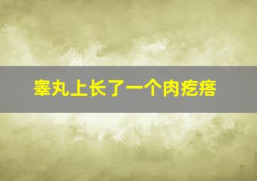 睾丸上长了一个肉疙瘩