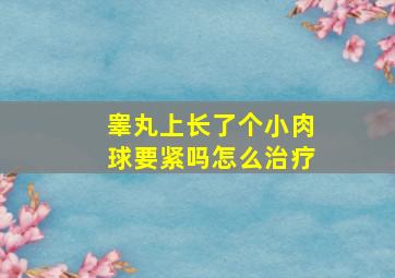 睾丸上长了个小肉球要紧吗怎么治疗