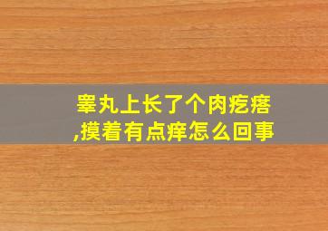 睾丸上长了个肉疙瘩,摸着有点痒怎么回事