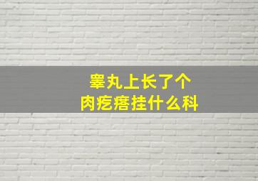 睾丸上长了个肉疙瘩挂什么科