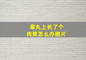 睾丸上长了个肉赘怎么办图片