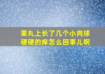 睾丸上长了几个小肉球硬硬的痒怎么回事儿啊