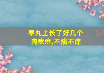 睾丸上长了好几个肉疙瘩,不痛不痒