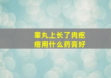 睾丸上长了肉疙瘩用什么药膏好