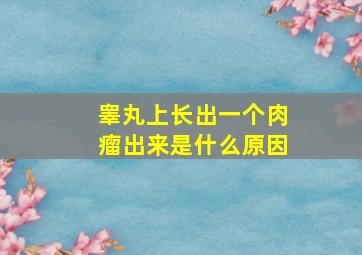 睾丸上长出一个肉瘤出来是什么原因