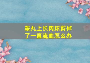 睾丸上长肉球剪掉了一直流血怎么办