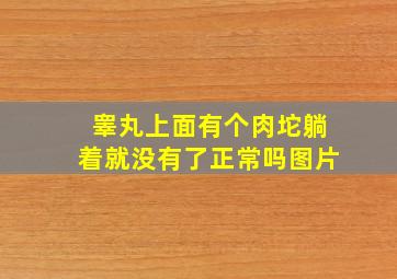 睾丸上面有个肉坨躺着就没有了正常吗图片