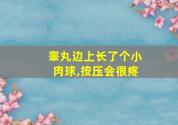 睾丸边上长了个小肉球,按压会很疼