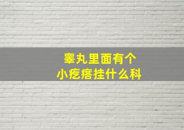 睾丸里面有个小疙瘩挂什么科