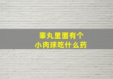 睾丸里面有个小肉球吃什么药