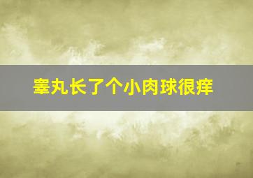 睾丸长了个小肉球很痒