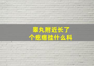 睾丸附近长了个疙瘩挂什么科