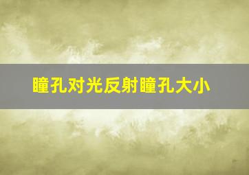 瞳孔对光反射瞳孔大小