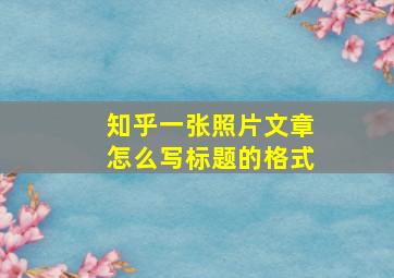 知乎一张照片文章怎么写标题的格式