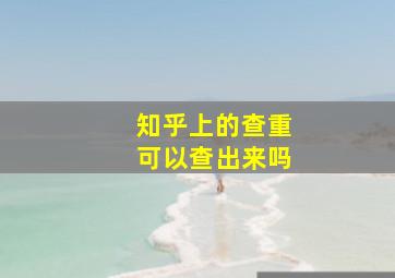 知乎上的查重可以查出来吗