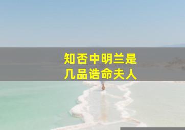 知否中明兰是几品诰命夫人