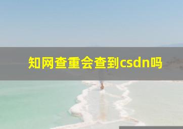 知网查重会查到csdn吗