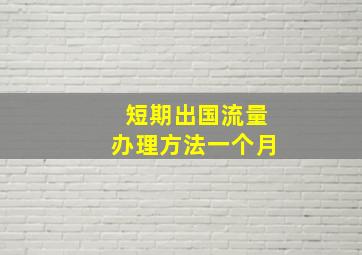 短期出国流量办理方法一个月