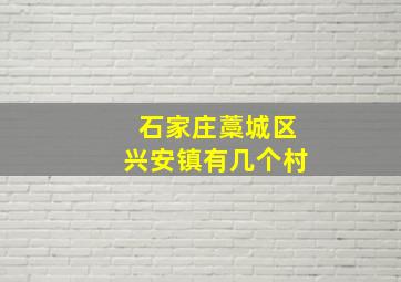 石家庄藁城区兴安镇有几个村