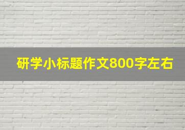 研学小标题作文800字左右