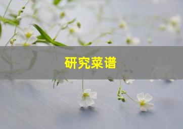 研究菜谱