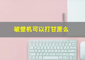 破壁机可以打甘蔗么