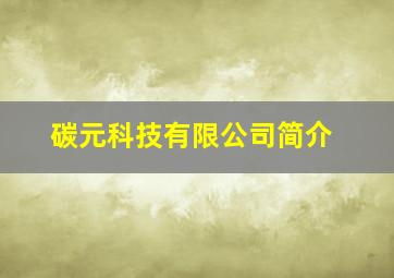 碳元科技有限公司简介