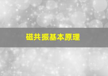 磁共振基本原理