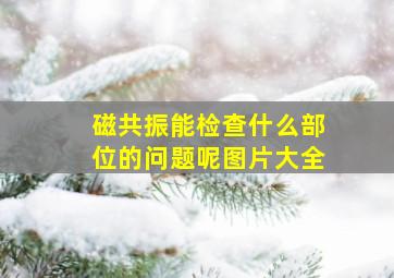 磁共振能检查什么部位的问题呢图片大全