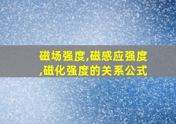 磁场强度,磁感应强度,磁化强度的关系公式