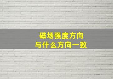 磁场强度方向与什么方向一致