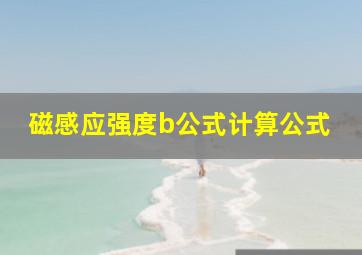 磁感应强度b公式计算公式