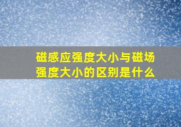 磁感应强度大小与磁场强度大小的区别是什么