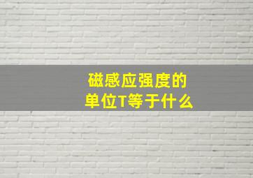 磁感应强度的单位T等于什么